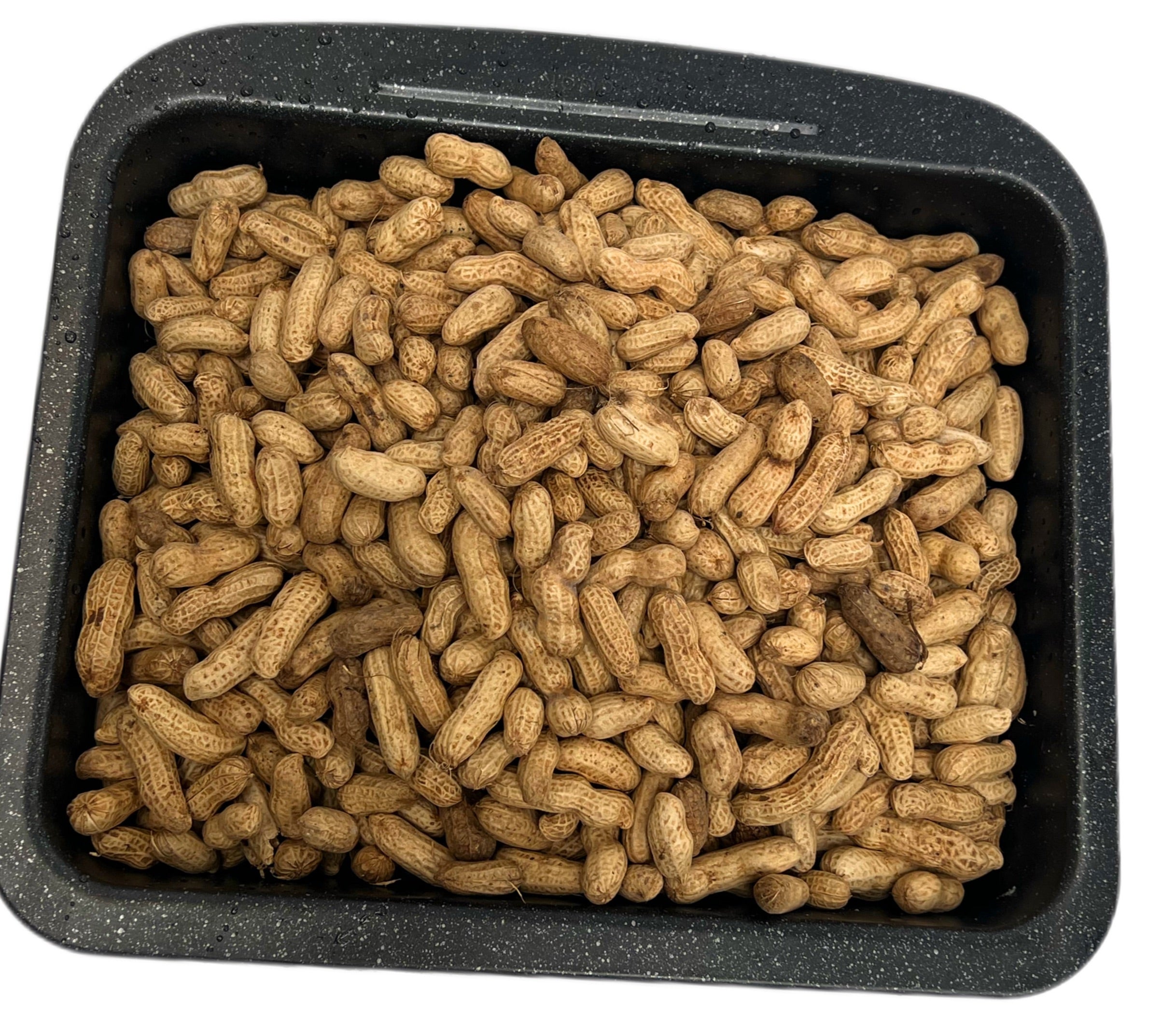 ALAOMA INTERNATIONAL FOODS