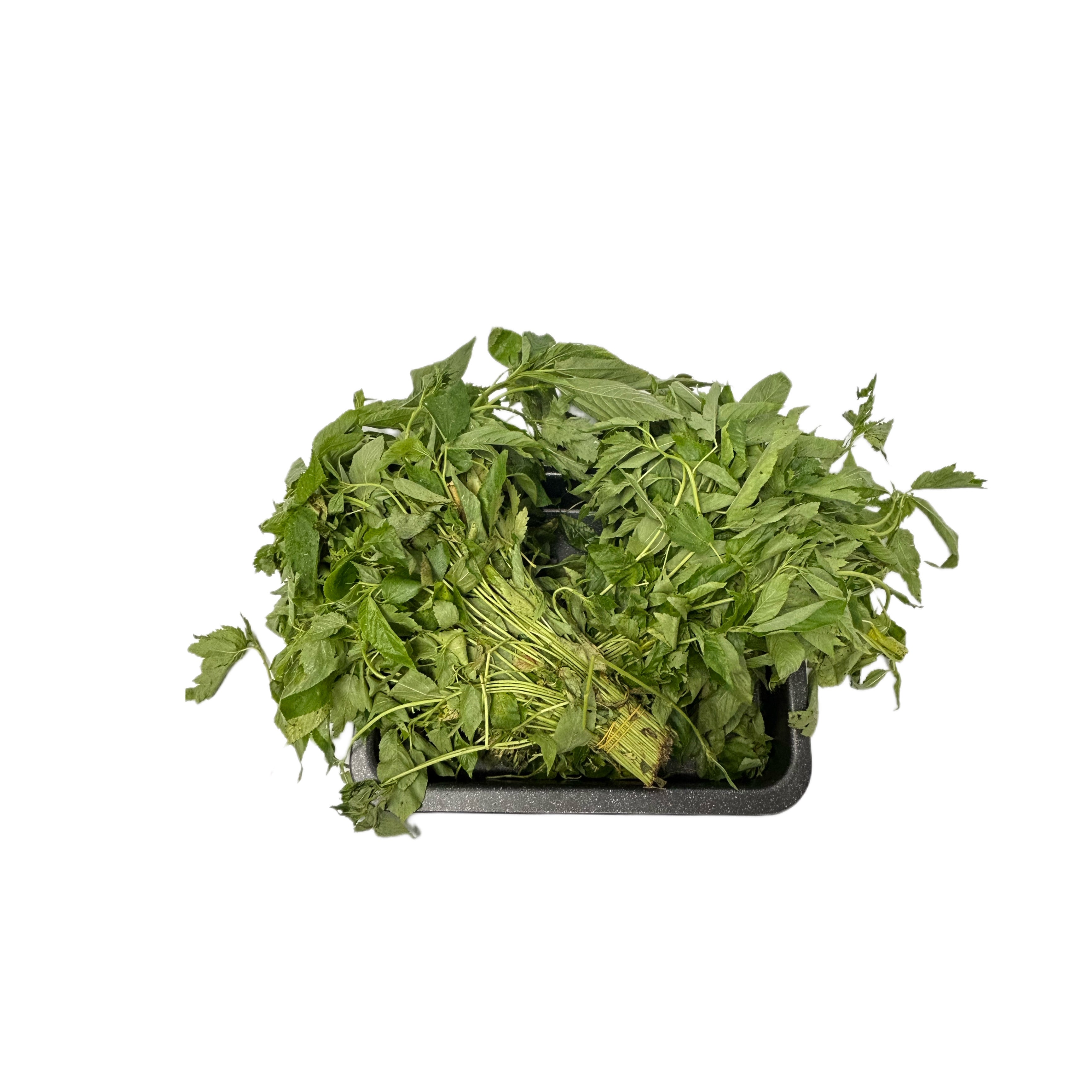 ALAOMA INTERNATIONAL FOODS
