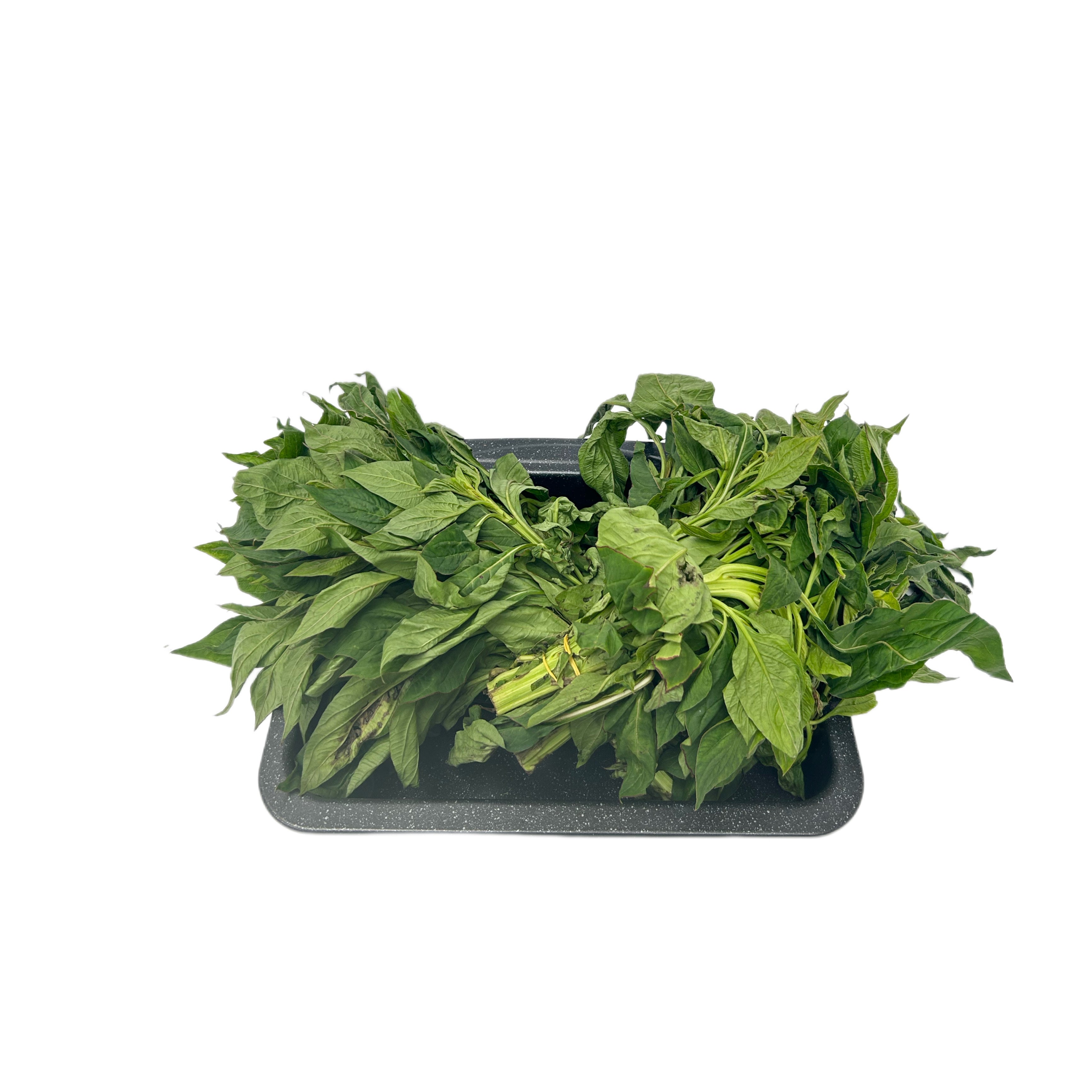 ALAOMA INTERNATIONAL FOODS
