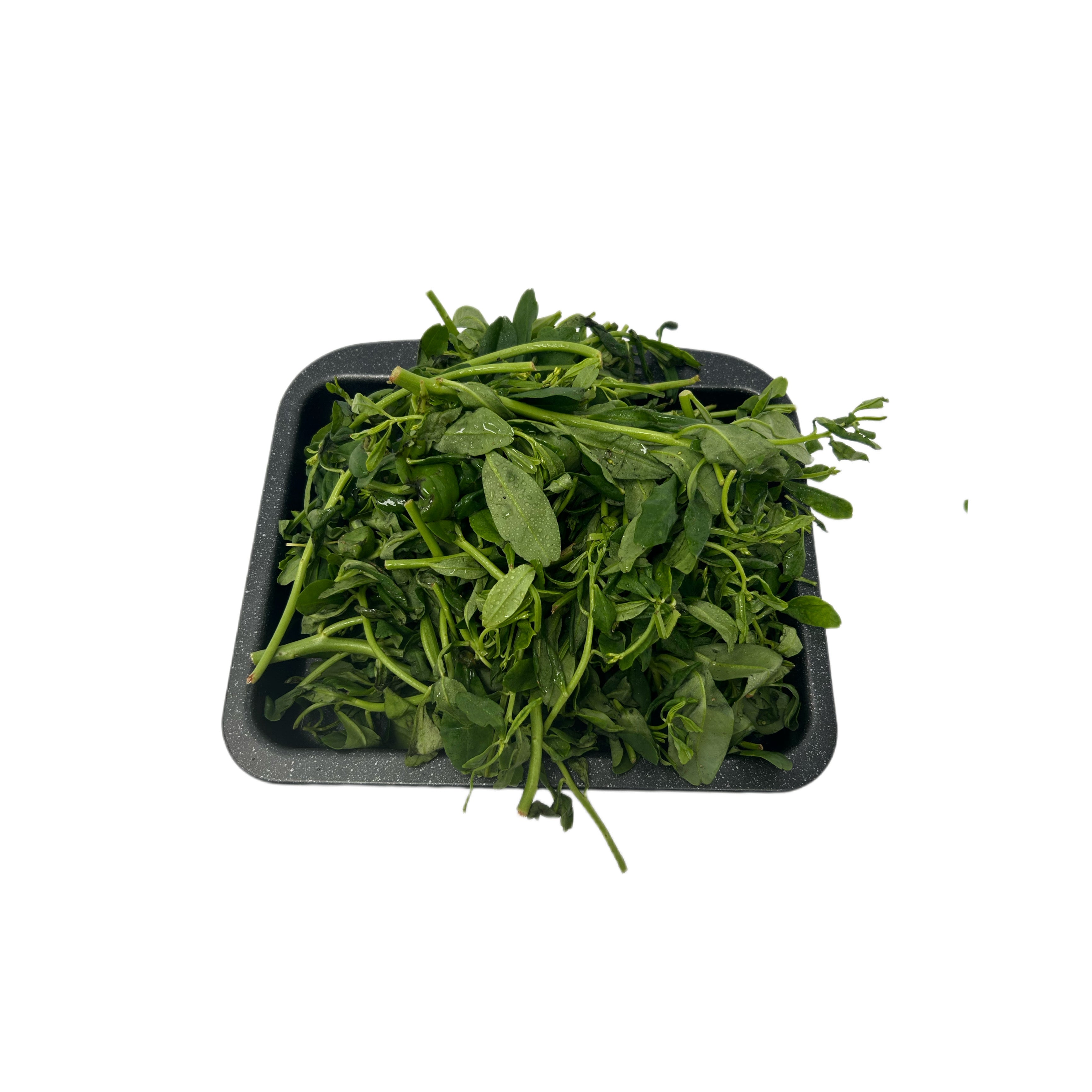 ALAOMA INTERNATIONAL FOODS