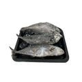 Horse Mackerel (kote)