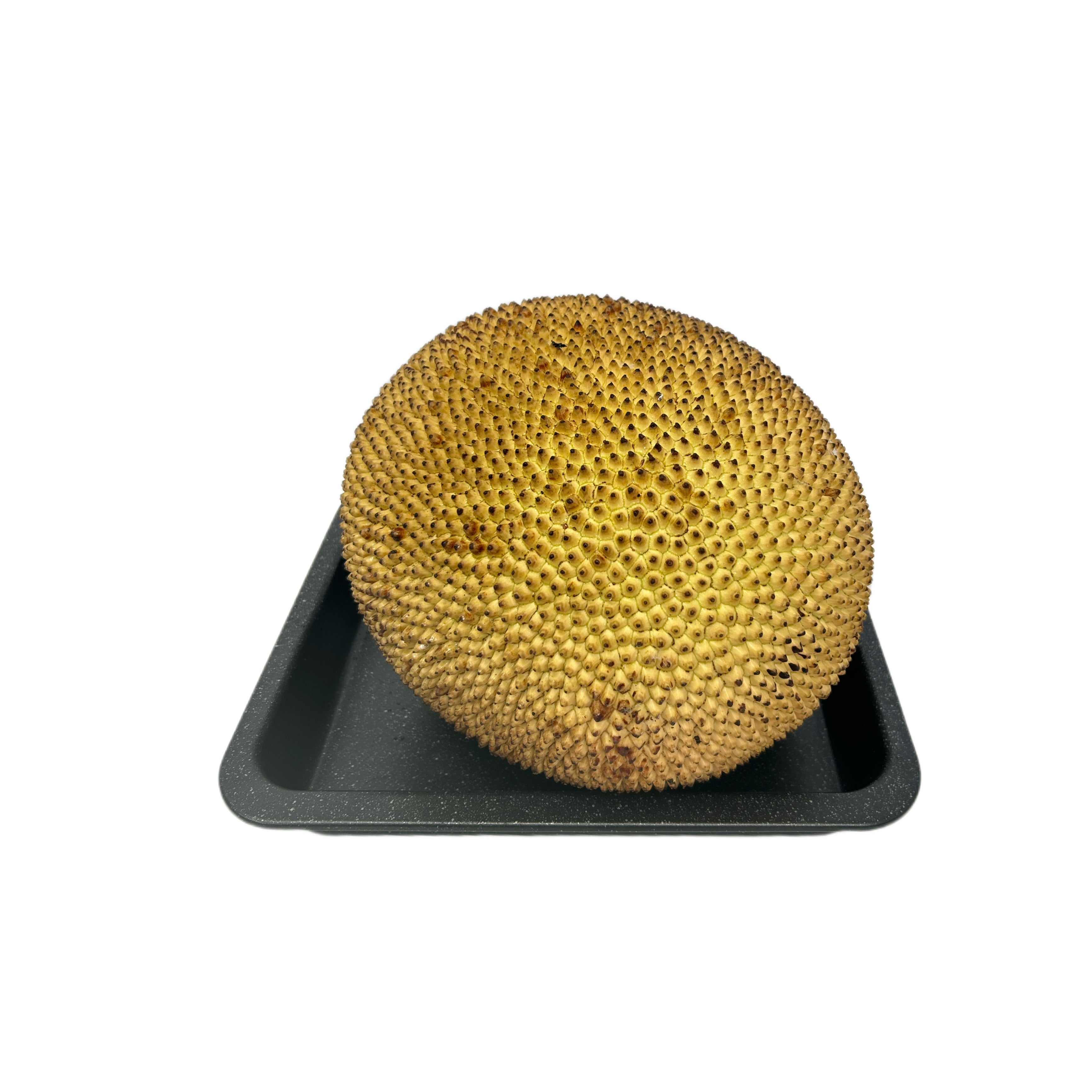 Jackfruit