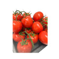 Tomato Fresh